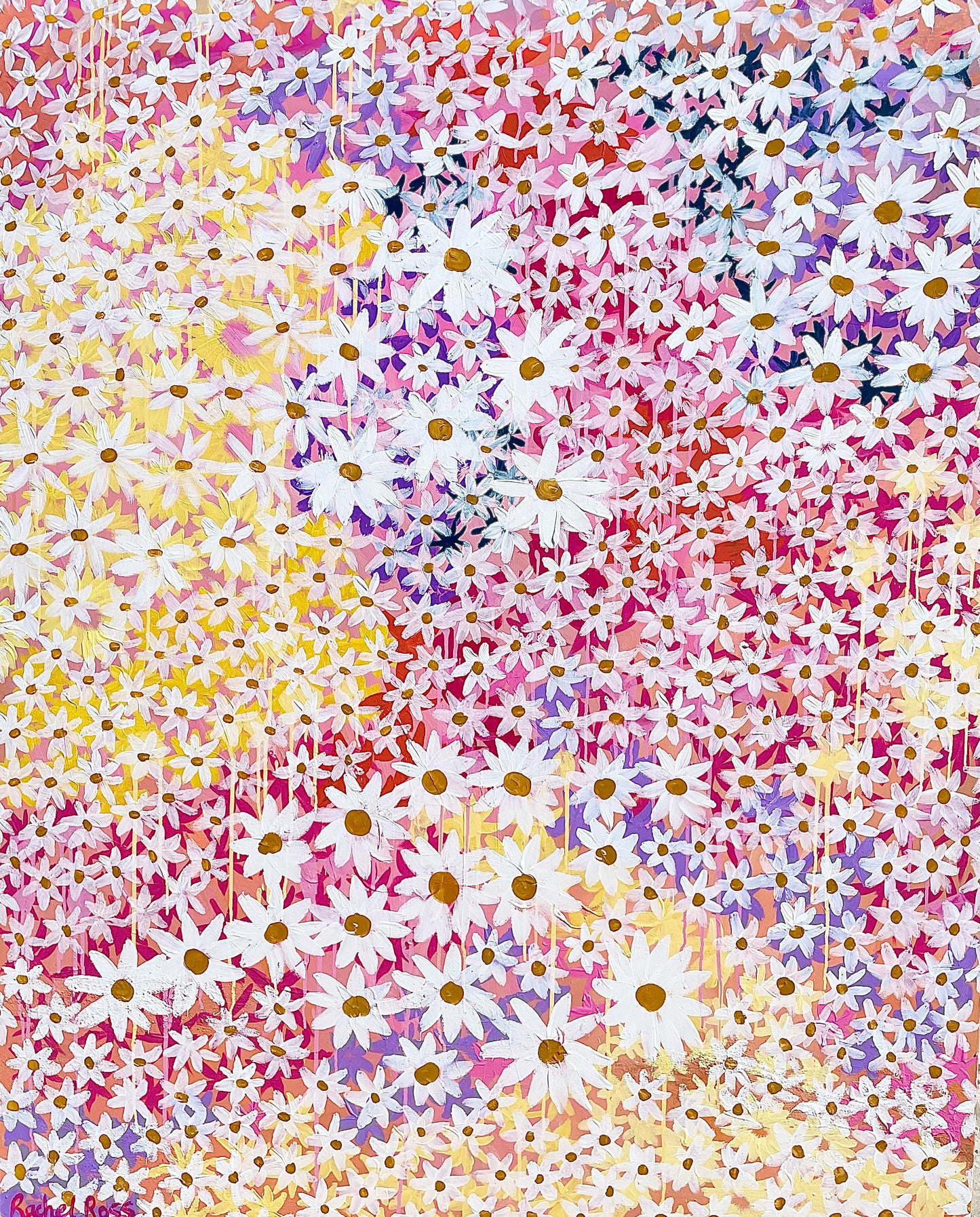 Dancing in the Daisies