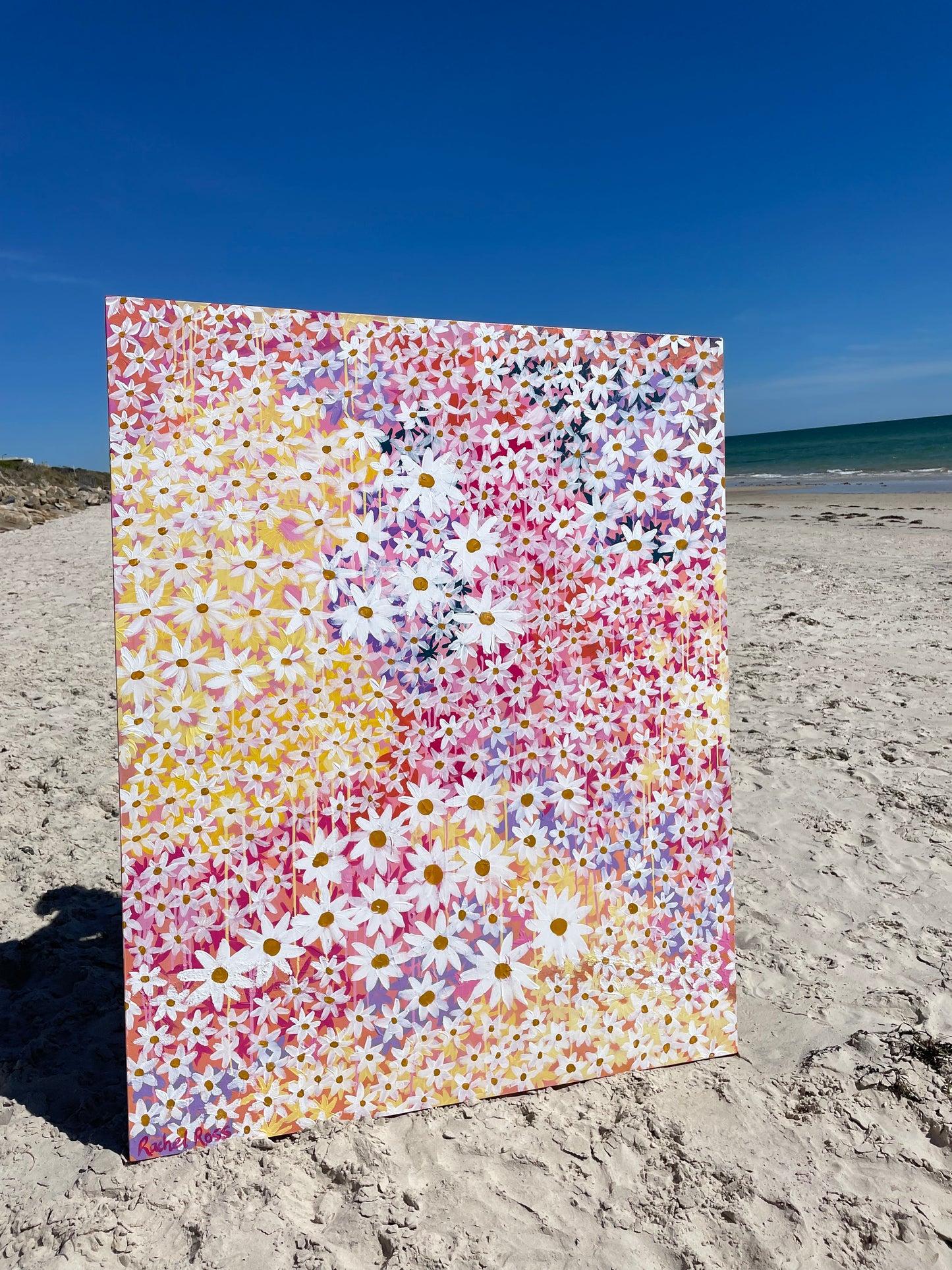 Dancing in the Daisies