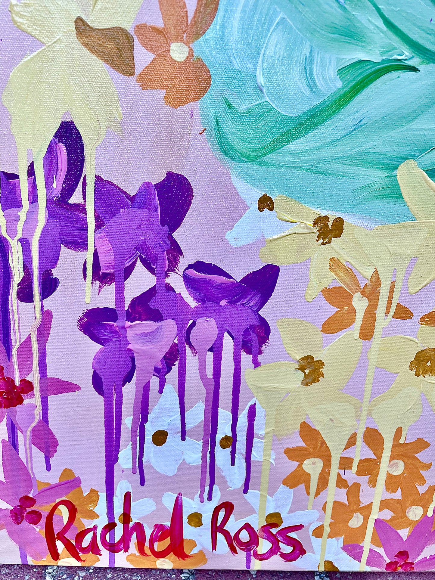 Summer Colour