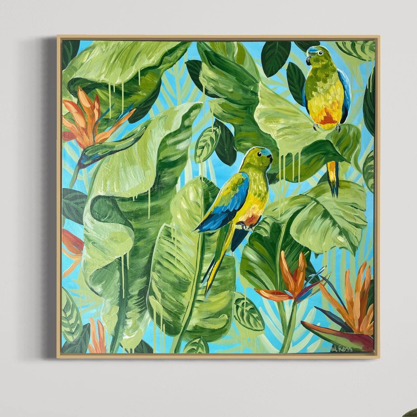 Birds of Paradise